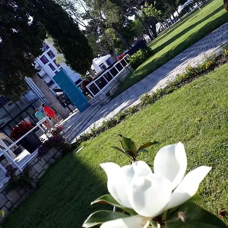Riva Biograd na Moru