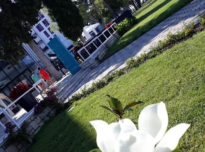 Riva ビオグラード・ナ・モル